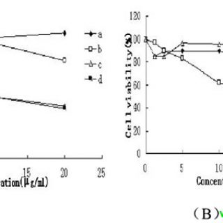 明日叶查尔酮类化合物对人肝癌细胞 SMMC-7721 增殖的影响