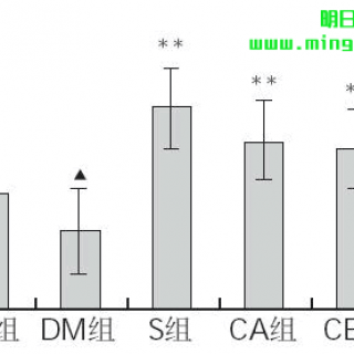 图 3 各组大鼠肝脏CPT-1 mRNA相对表达量