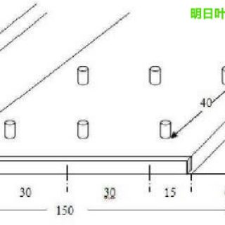 明日叶栽培定植
