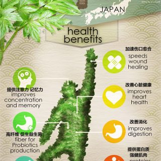 明日叶对健康的好处