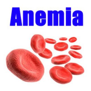贫血-文章特色图像