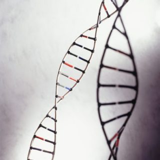 dna