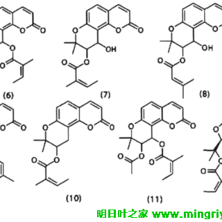 图2 香豆素6~12结构图