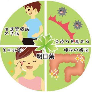 ashitaba-effect-cover