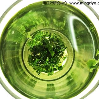 明日叶食用方法之茶