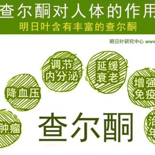 八丈岛·明日叶·查尓酮的功效与作用