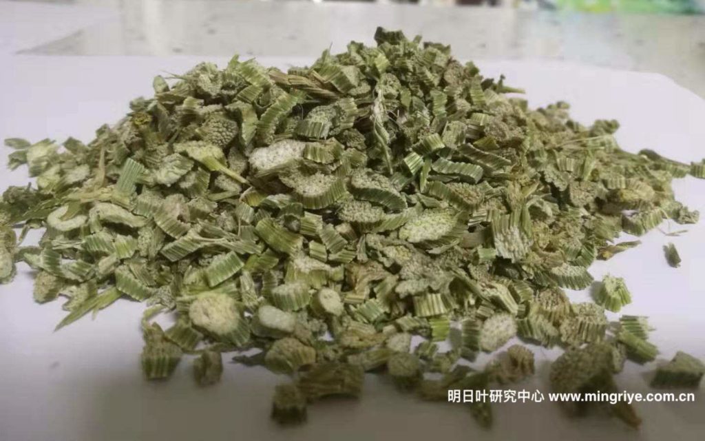 明日叶茶-茎茶