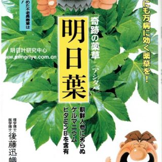 奇迹的药草：明日叶