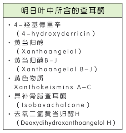 明日叶中所含有的查尔酮