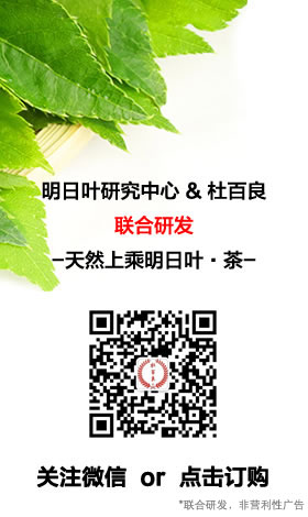 明日叶研究中心-杜百良联合研发